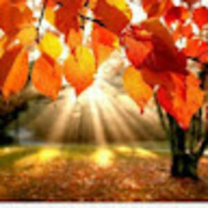 Meet your Posher, Lorena